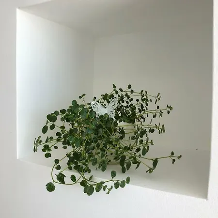 Pia Volosko, Appartement Opatija